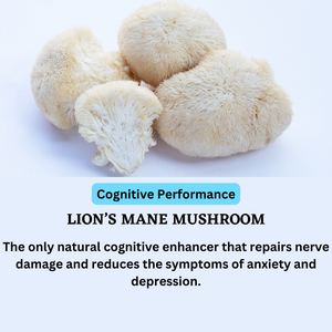 Neuro Brain Java  Lion's Mane & Chaga Mushroom Coffee Fusion 4oz